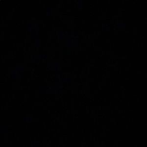 Meet your Posher, Valera